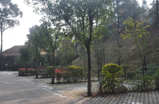 G:\gz\湄公(gōng)河集團概況\野生動物(wù)園\野生動物(wù)園餐廳\QQ圖片20141211150358.jpg